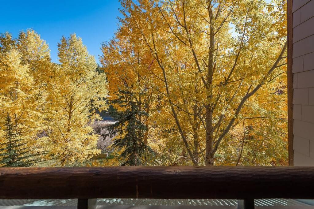 Ski-In/Ski-Out Zephyr 1 Bedroom Condo วินเทอร์พาร์ค ภายนอก รูปภาพ
